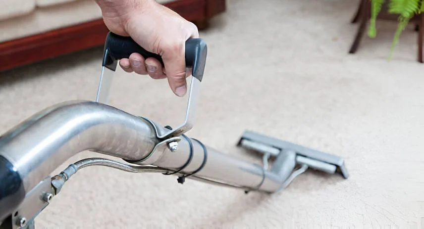 The Ultimate Guide to Effective Rug Cleaning at Home : DIY Tips & Tricks